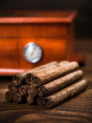 connoisseur plan cigar